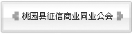 桃园县徵信商业同业公会